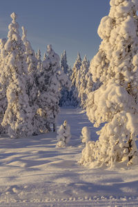 Snow covered landscape against clear sky during sunrise near a ski resort in ludvika sweden