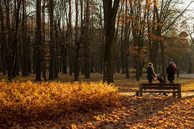 People sitting on bench in park during autumn