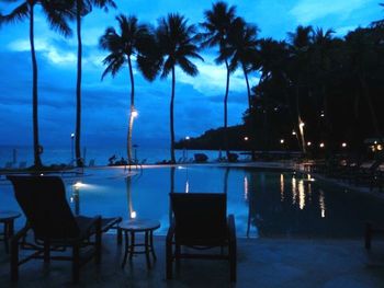 Palm trees by swimming pool against sky