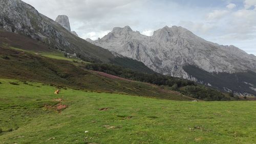 Low angle view of mountains against sky