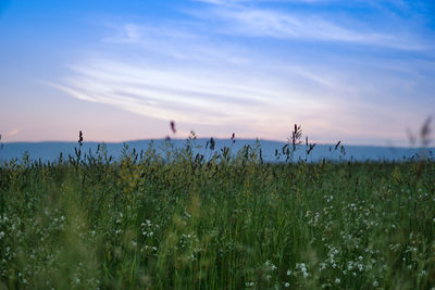 Scenic view of field against cloudy sky