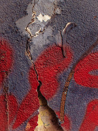 Full frame shot of red leaf
