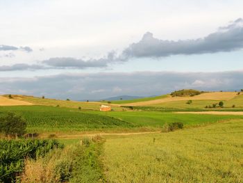 Scenic view of agricultural field against sky