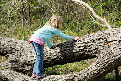 Girl standing on fallen tree in forest