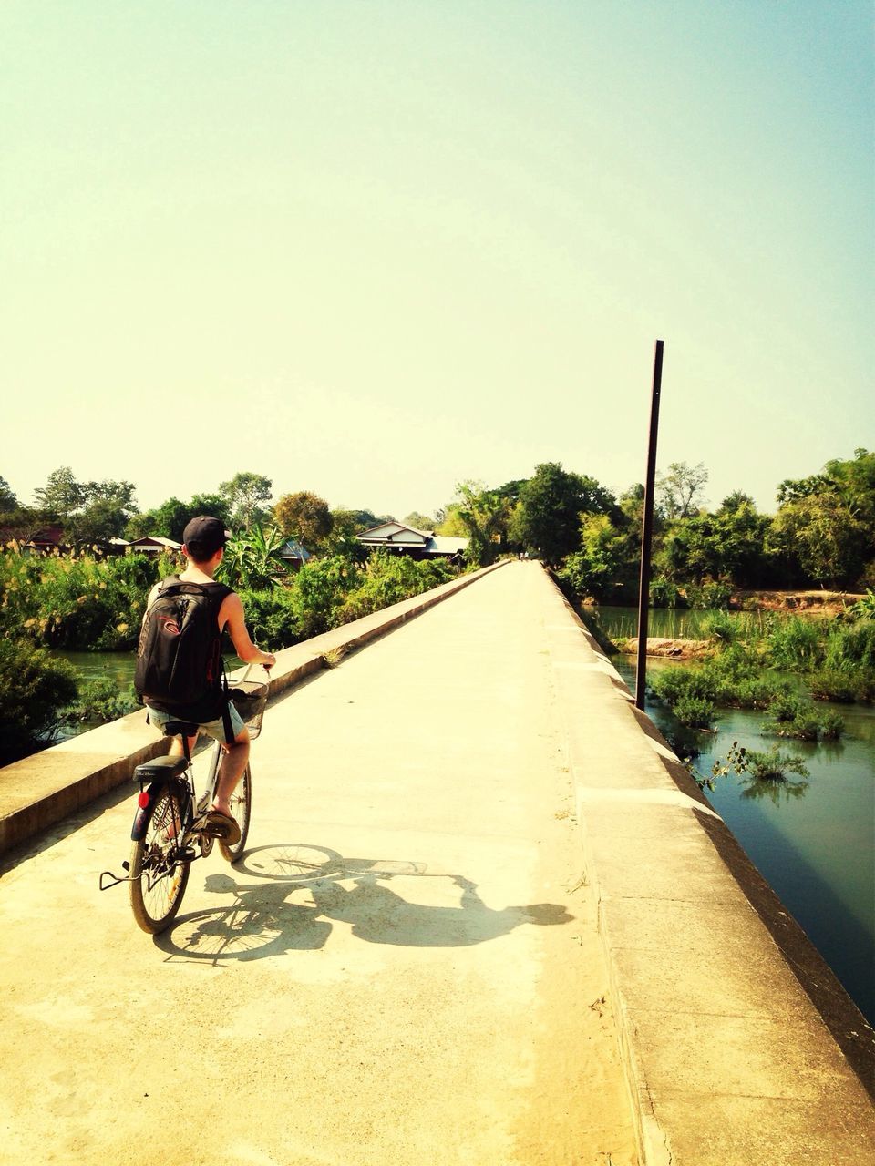 bicycle, transportation, clear sky, mode of transport, land vehicle, riding, copy space, lifestyles, full length, the way forward, cycling, leisure activity, men, road, tree, street, rear view, diminishing perspective