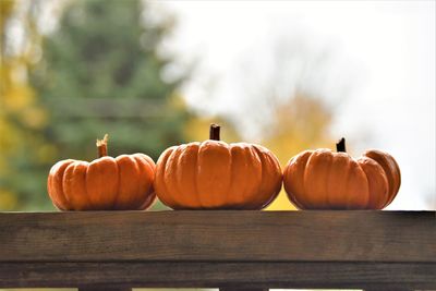 Close-up of pumpkins on table