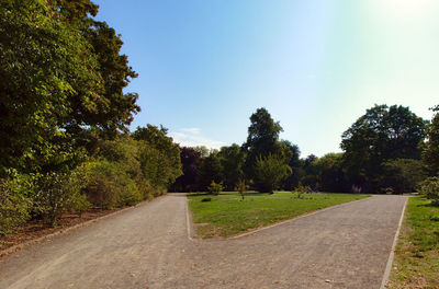 Empty road amidst trees against sky