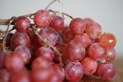 Close-up of grapes