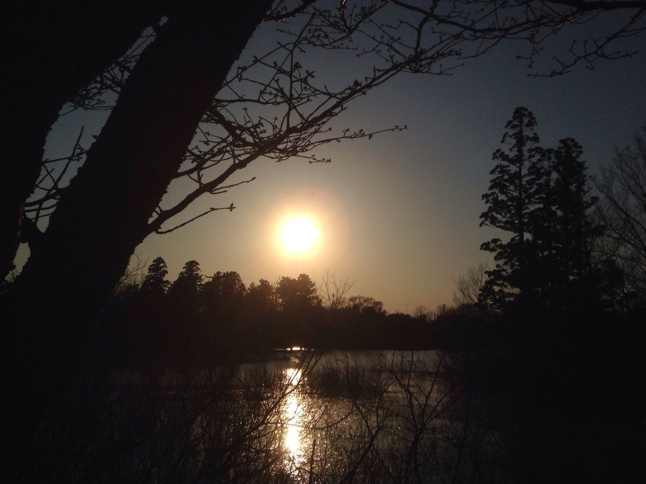 小泉潟公園