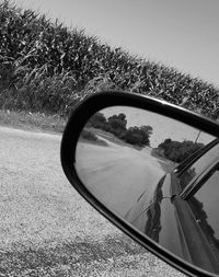 Reflection of car on side-view mirror