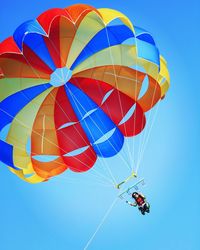 Low angle view of people paragliding against clear blue sky