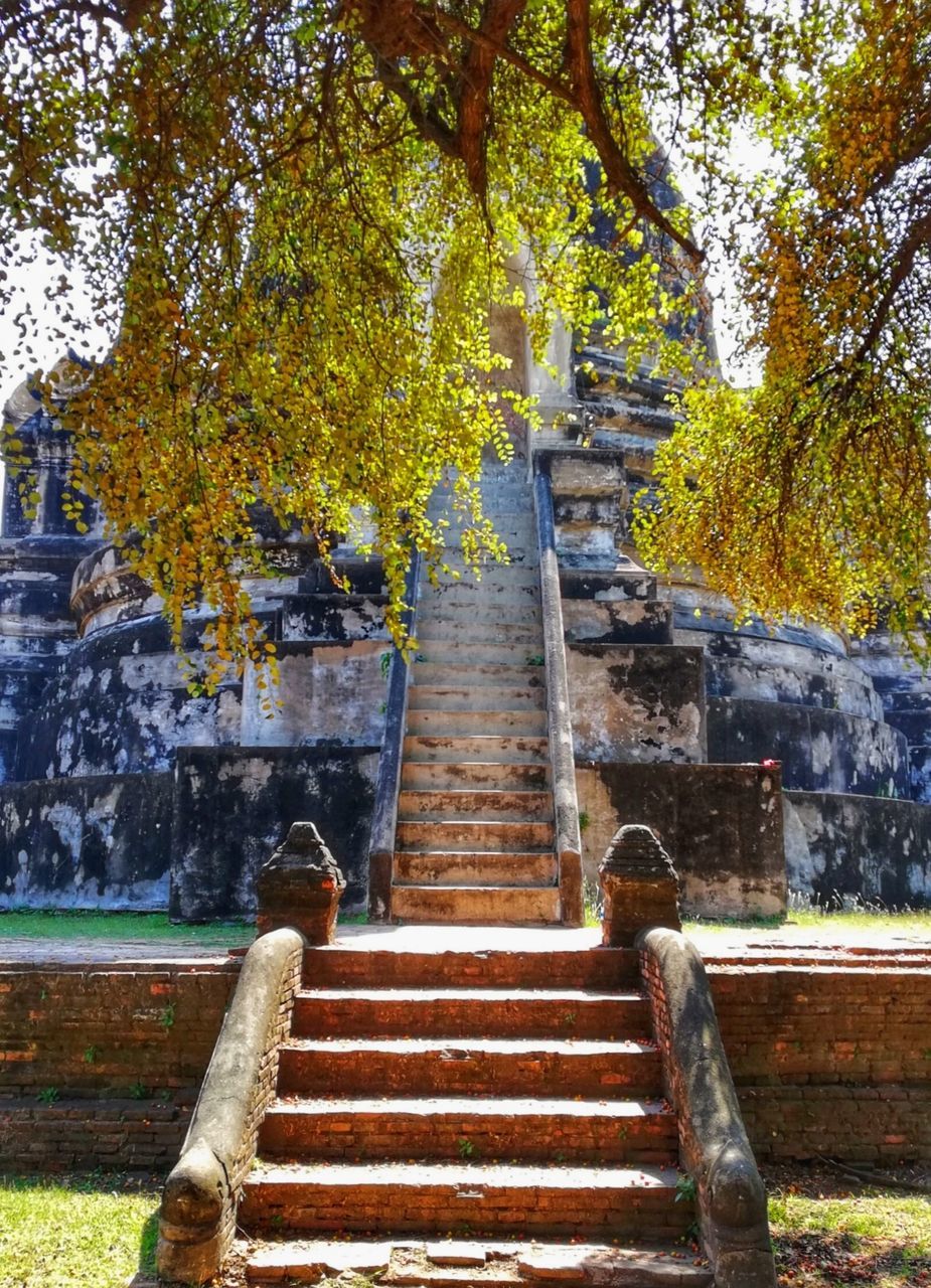 architecture, staircase, tree, steps and staircases, built structure, plant, autumn, day, nature, building exterior, travel destinations, no people, outdoors, direction, the past, the way forward, railing, place of worship, history, low angle view, change