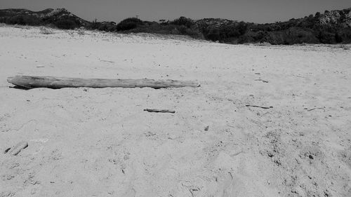 View of driftwood on snow covered land