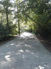 Road amidst trees in forest