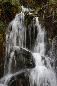 View of waterfall in forest