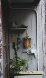 Potted plants on window of house