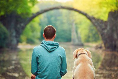 Rear view of man with dog