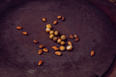 High angle view of shells