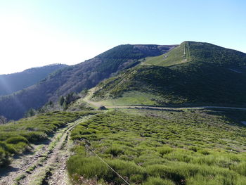 Scenic view of landscape against clear sky