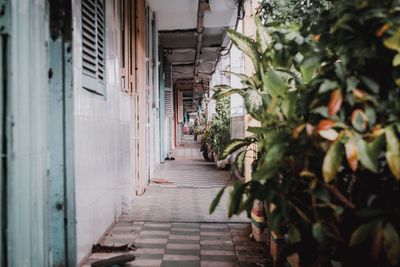 Empty corridor of building