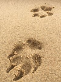 High angle view of footprints on sand at beach