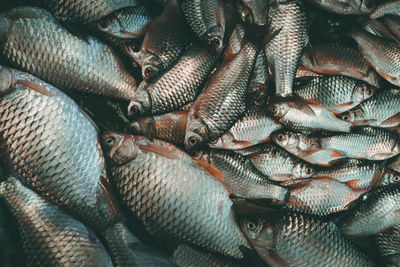 Full frame shot of fish for sale in market