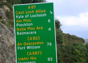 Close-up of sign board against trees