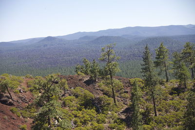 Scenic view of mountains against clear sky