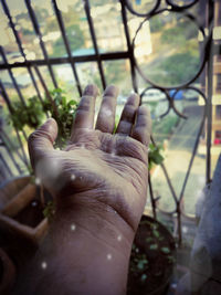 Close-up of human hand against tree