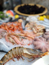 Close-up of seafood for sale at market