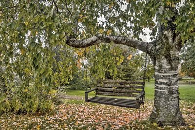 Empty bench in the park