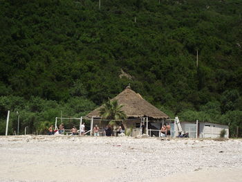 Built structure on field against trees in forest