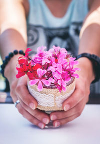 Close-up of hand holding pink flowers