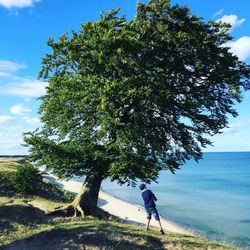 Rear view of boy standing by tree trunk at beach