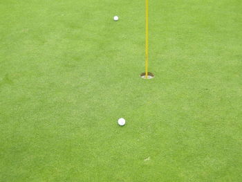 High angle view of balls on golf course