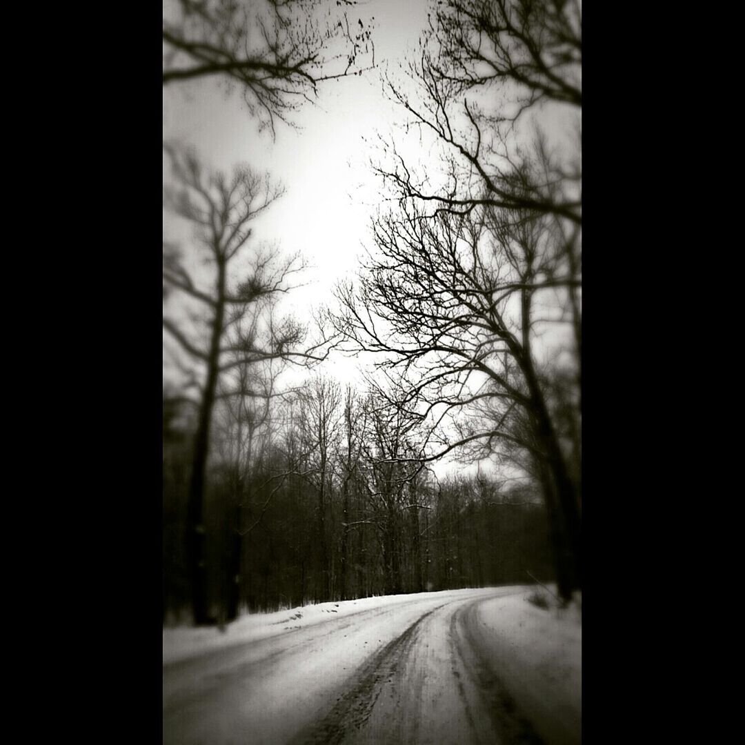 tree, the way forward, bare tree, road, transportation, winter, snow, diminishing perspective, weather, tranquility, cold temperature, nature, tranquil scene, landscape, sky, vanishing point, country road, season, branch, scenics