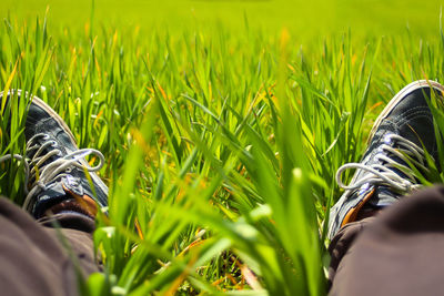 Low section of person on field