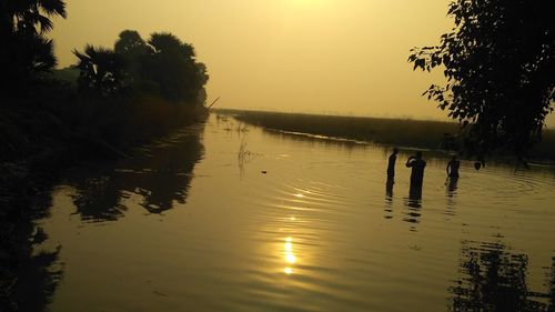 View of swan swimming in lake during sunset