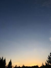 Low angle view of silhouette trees against clear sky