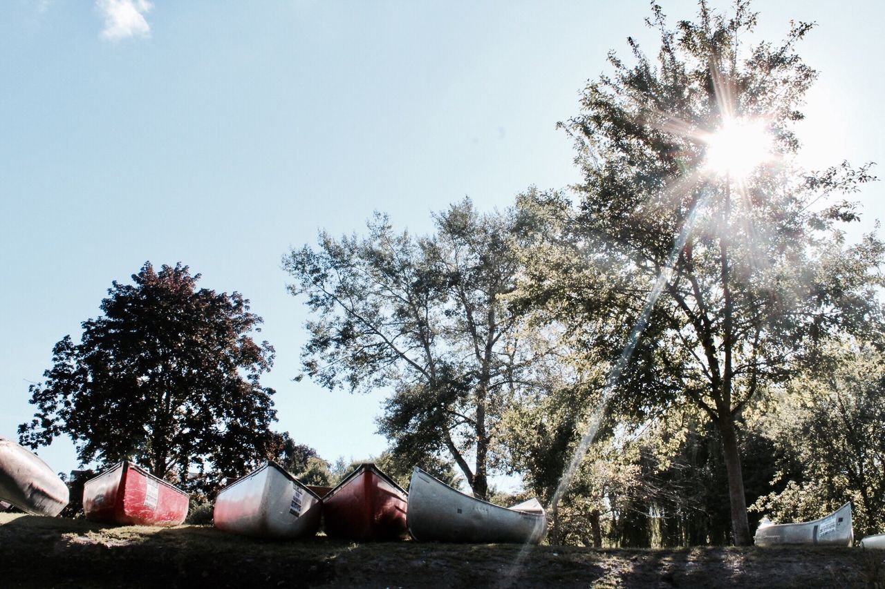 tree, lens flare, outdoors, no people, sunlight, sky, day, nature, water, beauty in nature