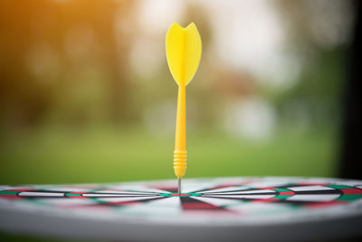 Close-up of arrow on dartboard