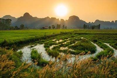 Scenic view of field against sky during sunset