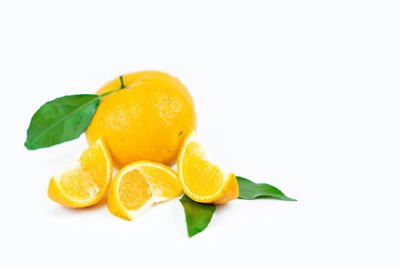 Close-up of yellow fruits and leaves against white background