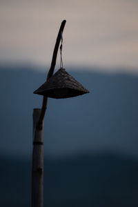 Close-up of bird perching on wooden post against sky