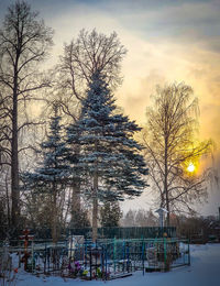 Bare trees on snow covered land against sky during sunset