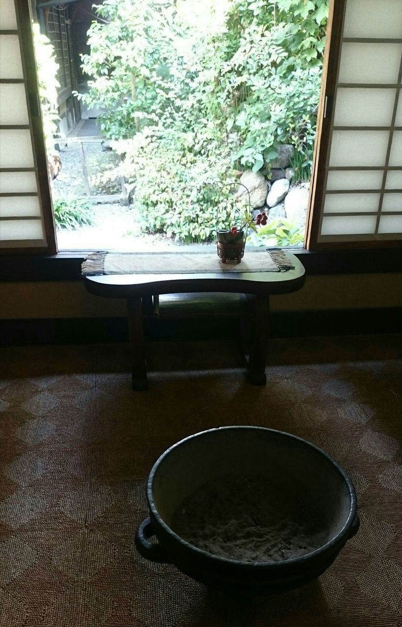 POTTED PLANT ON TABLE BY WINDOW SILL