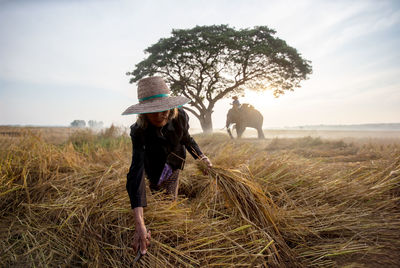 Woman cutting plants with man over elephant