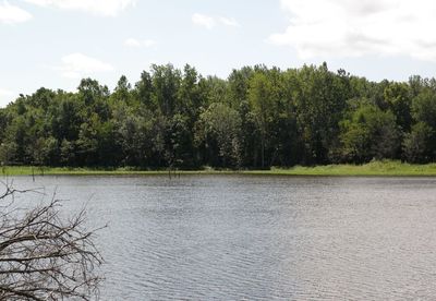 Reflection of trees in calm lake