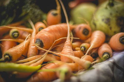 Close-up of vegetables