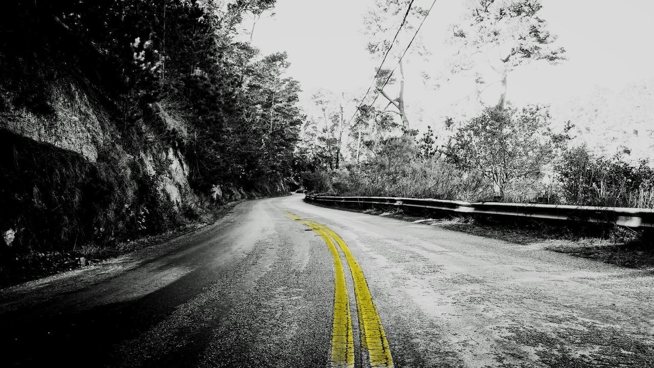 the way forward, diminishing perspective, transportation, road, vanishing point, tree, road marking, empty road, country road, long, tranquility, asphalt, nature, empty, street, tranquil scene, no people, outdoors, sky, day